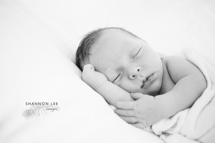 bay area newborn photographer