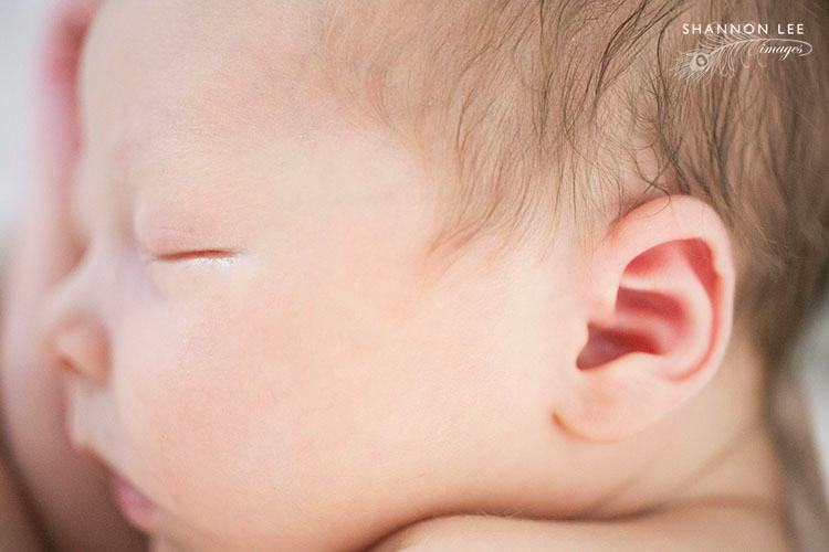 sf newborn photographer