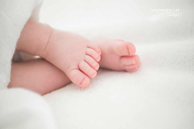 newborn photographer bay area