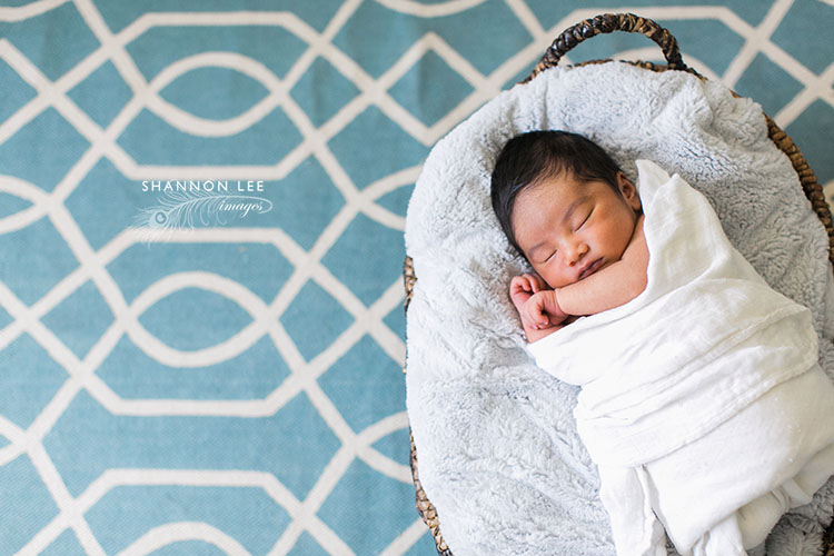 newborn photographer burbank 