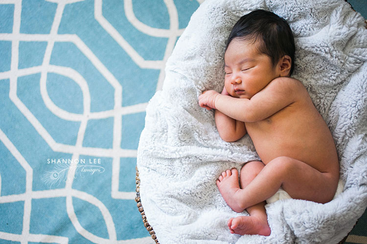 newborn photographer burbank