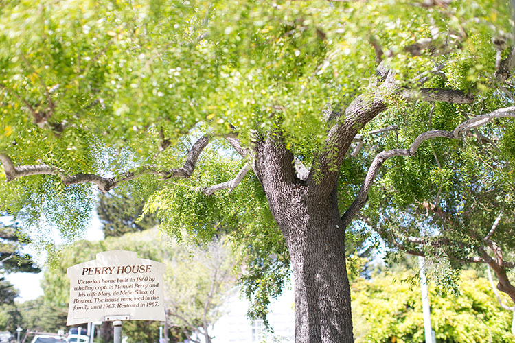 monterey-perry-house-wedding-129 wedding photographer monterey perry house