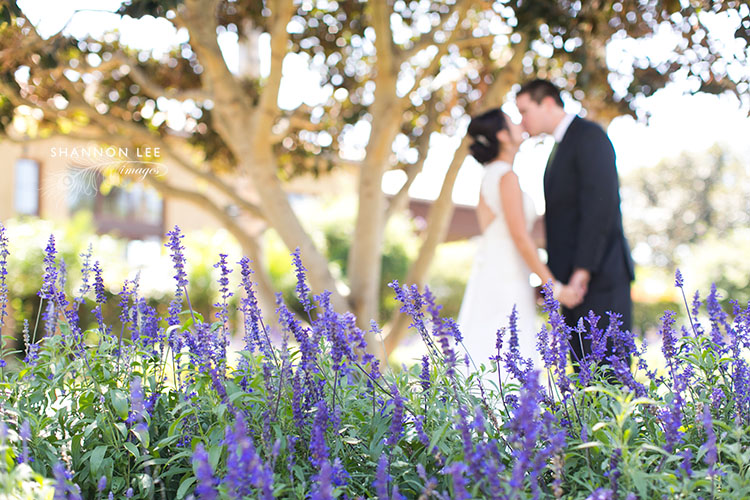 carlsbad-crossings-wedding-photographer-119 wedding photographer san diego
