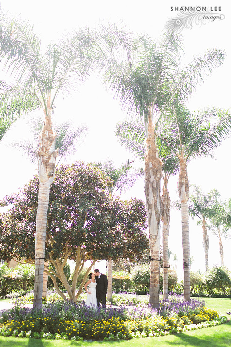 carlsbad-crossings-wedding-photographer-121 wedding photographer san diego