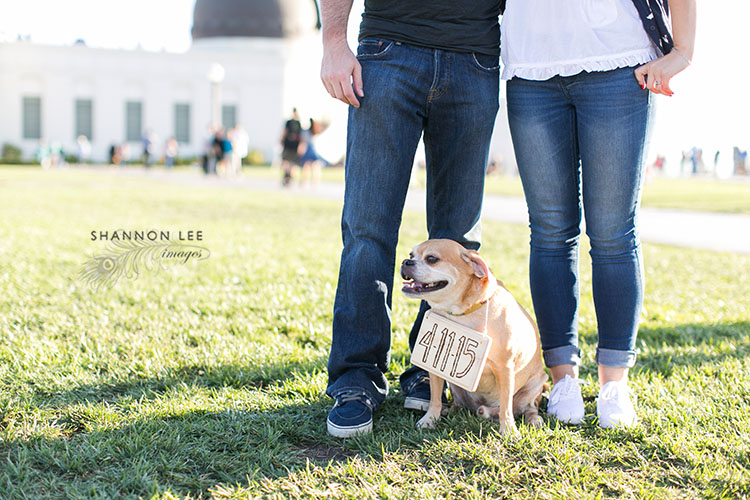 griffith observatory engagement photography la engagement photographer