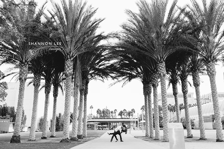 palm tree engagement photography