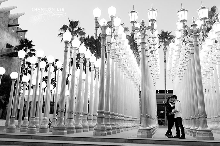 lama lights photography