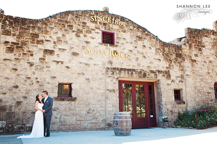 healdsburg wedding photographer