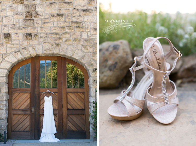 healdsburg wedding photographer