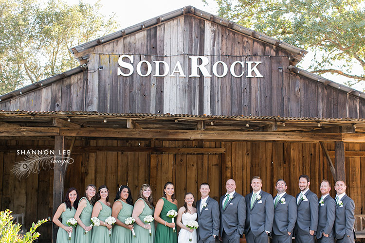 sage green wedding party