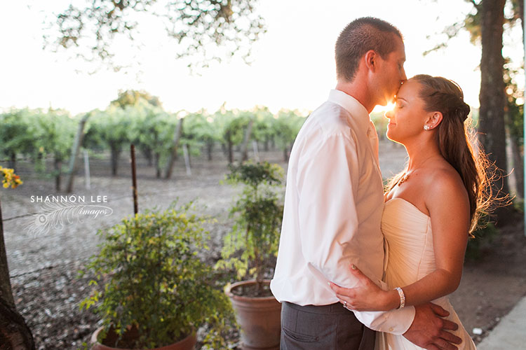 best napa wedding photographer