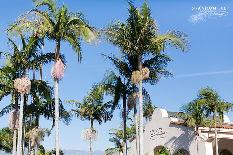fess parker santa barbara wedding photographer fess parker santa barbara wedding photographer