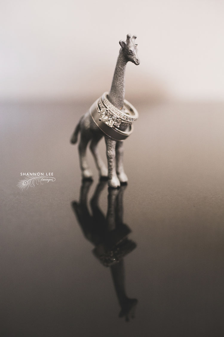 santa-barbara-zoo-wedding-photographer-106 giraffe wedding rings