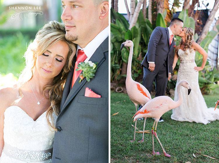 santa-barbara-zoo-wedding-photographer-148