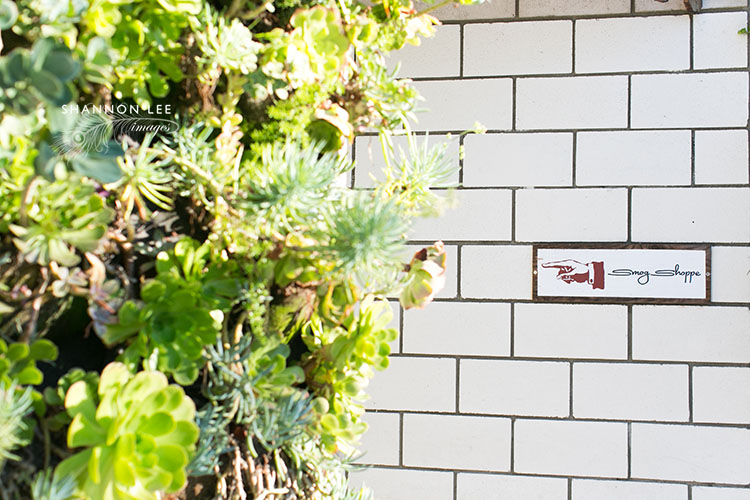 smog-shoppe-wedding-126 smog shoppe wedding photographer