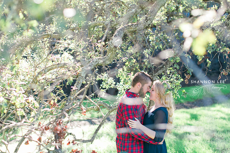 alum rock park engagement photography