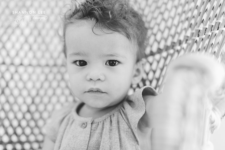 la baby photographer