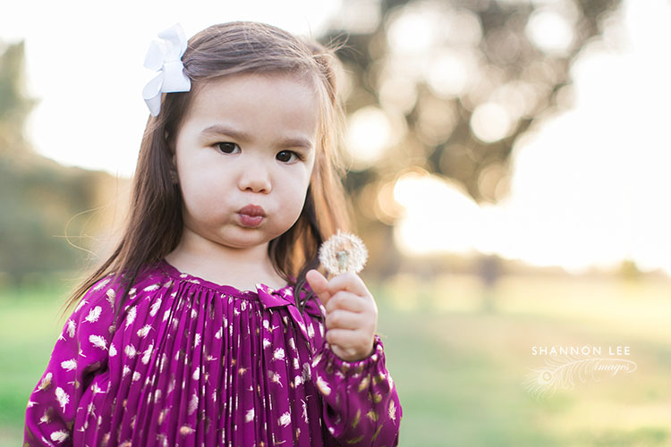 burbank-maternity-photography-112
