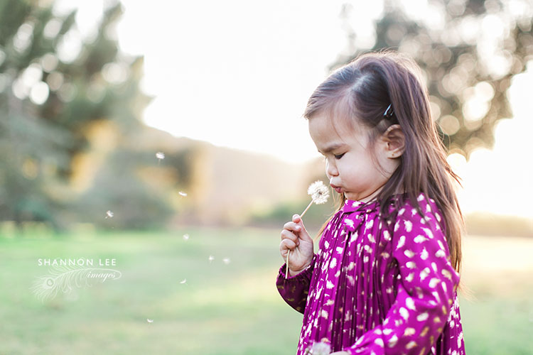 burbank-maternity-photography-113