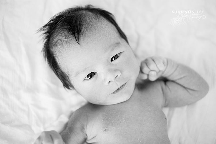 burbank-newborn-photographer-104