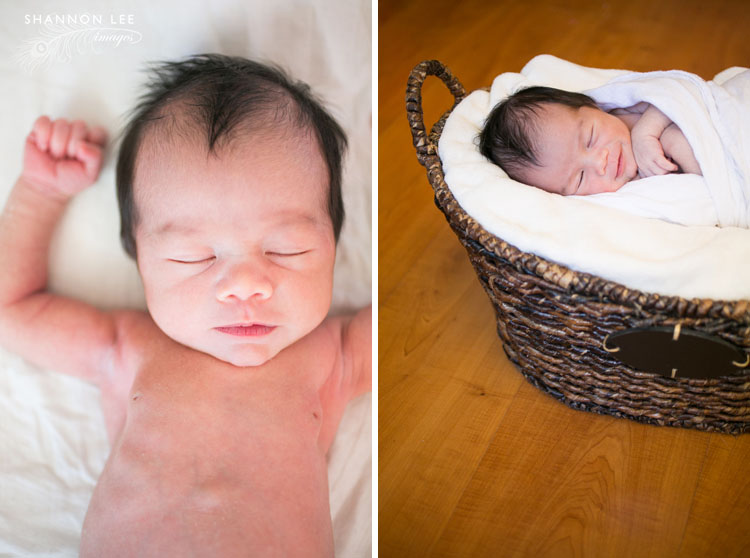 burbank-newborn-photographer-105