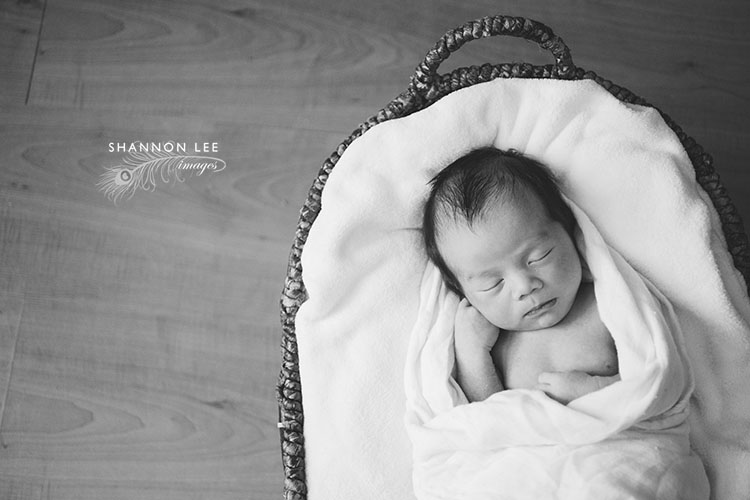 burbank-newborn-photographer-106