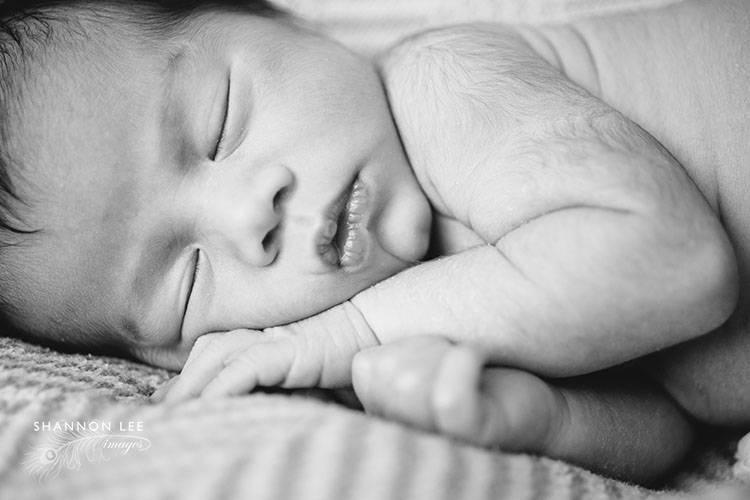 burbank-newborn-photographer-107
