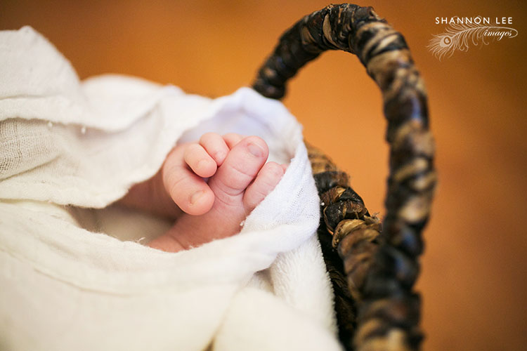burbank-newborn-photographer-108