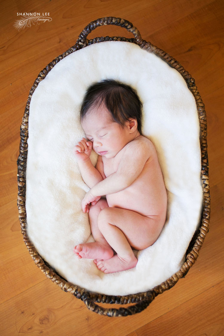burbank-newborn-photographer-109
