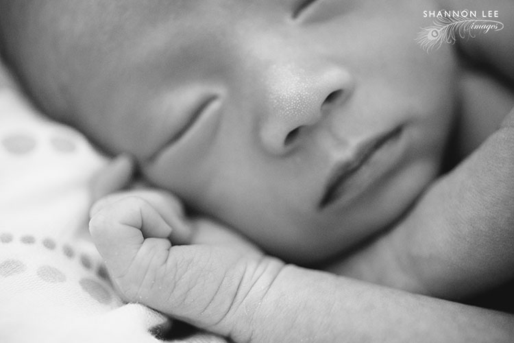los-angeles-newborn-photographer-111