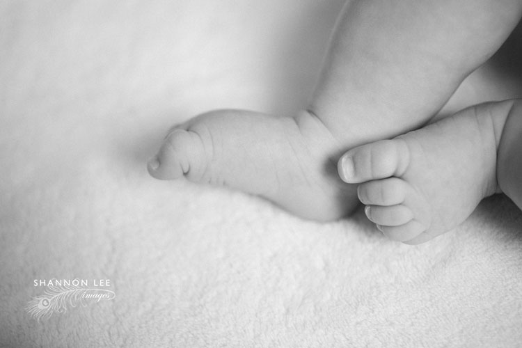 los-angeles-baby-photographer-211