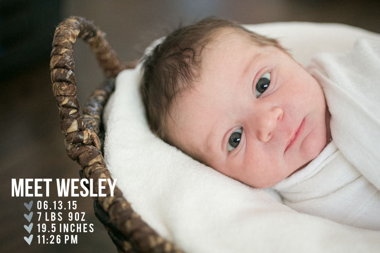 los-angeles-newborn-photographer001