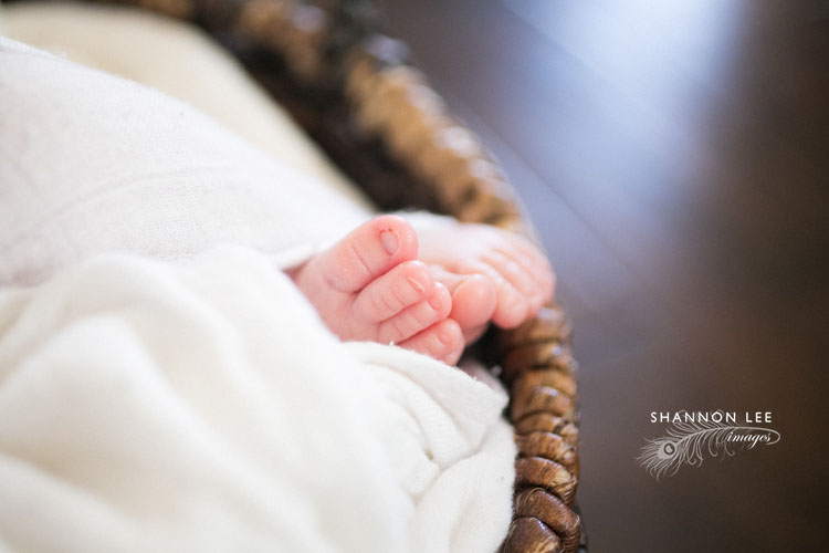 los-angeles-newborn-photographer004