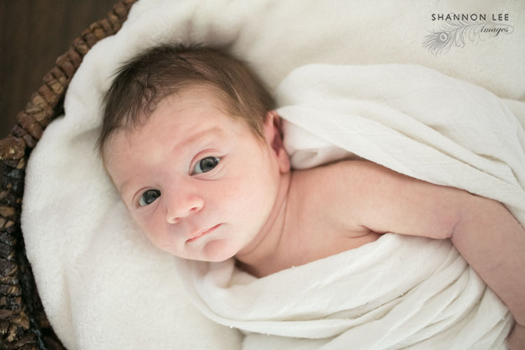 los-angeles-newborn-photographer005