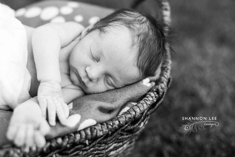 los-angeles-newborn-photographer008
