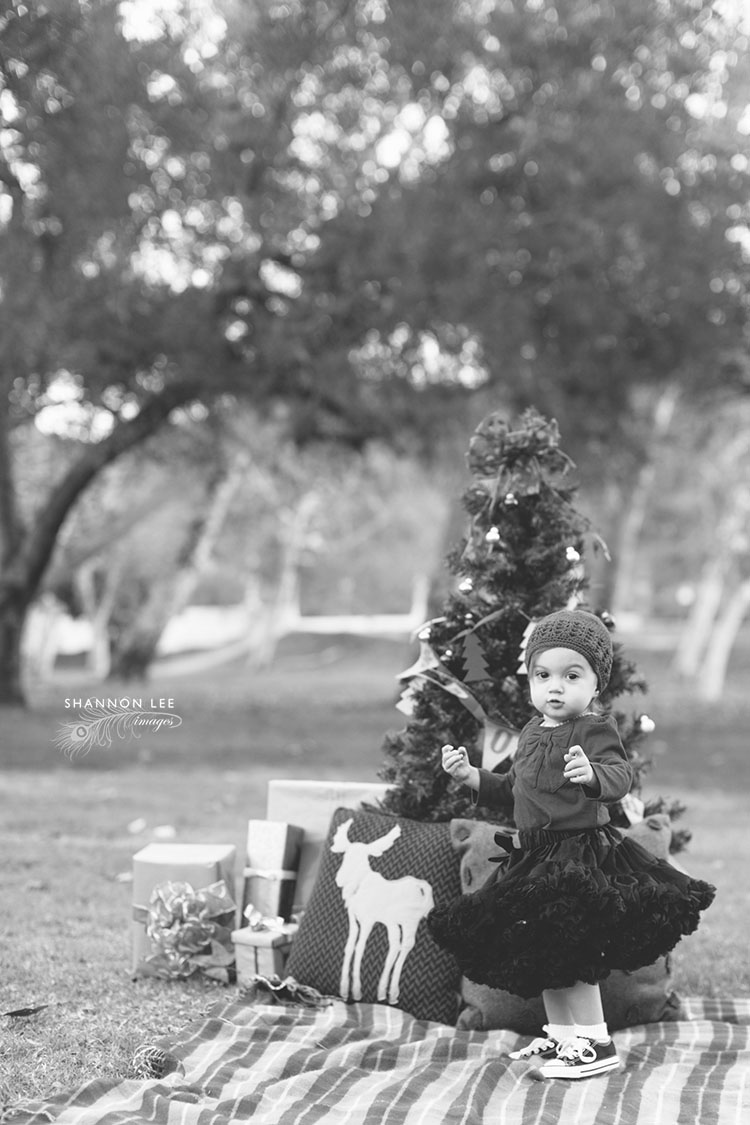 holiday themed photography