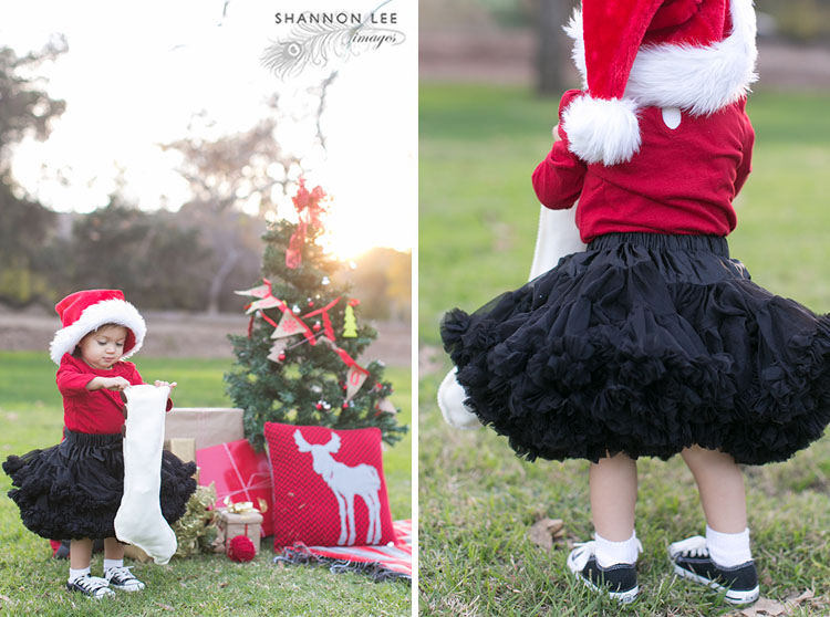 holiday family photographer los angeles