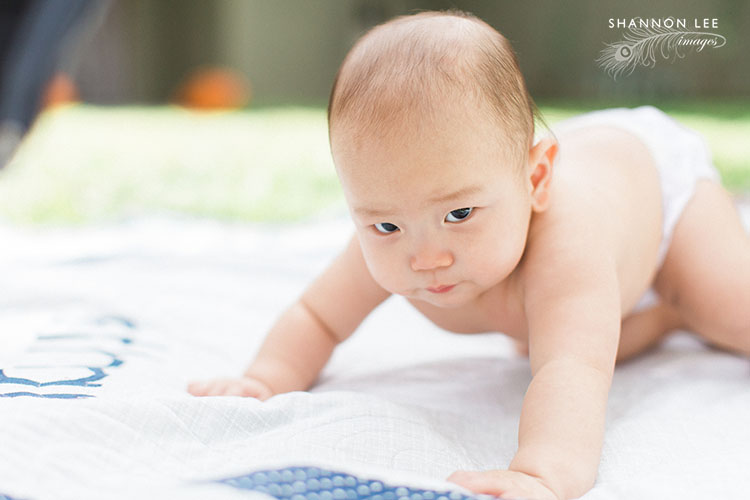 los angeles baby photographer