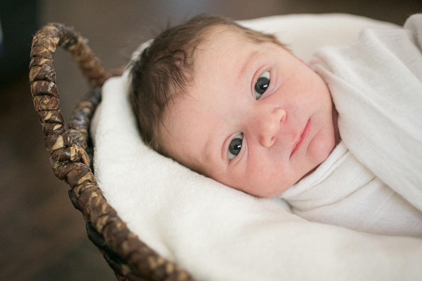 best-of-portraits-2015-121