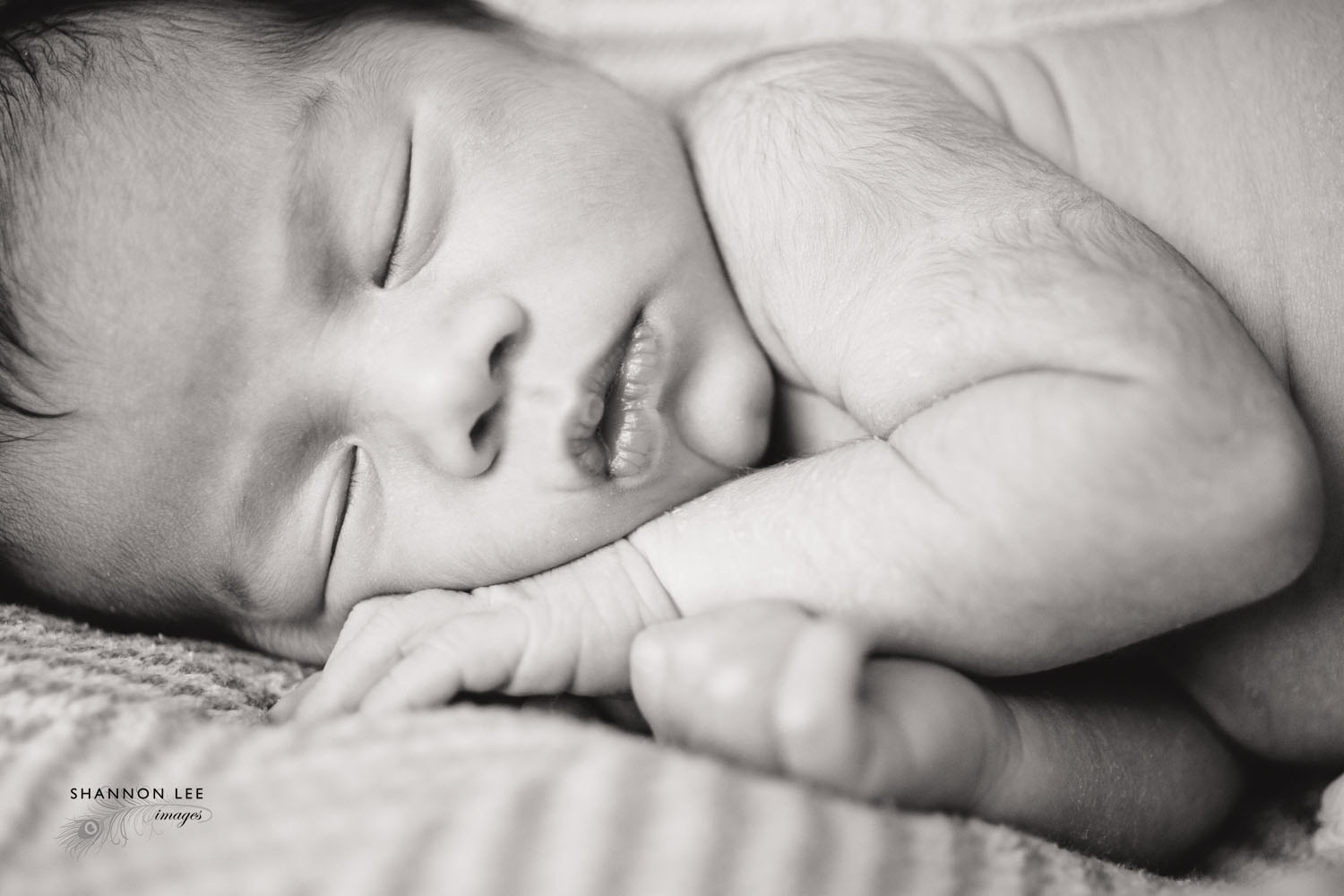 best-of-portraits-2015-153