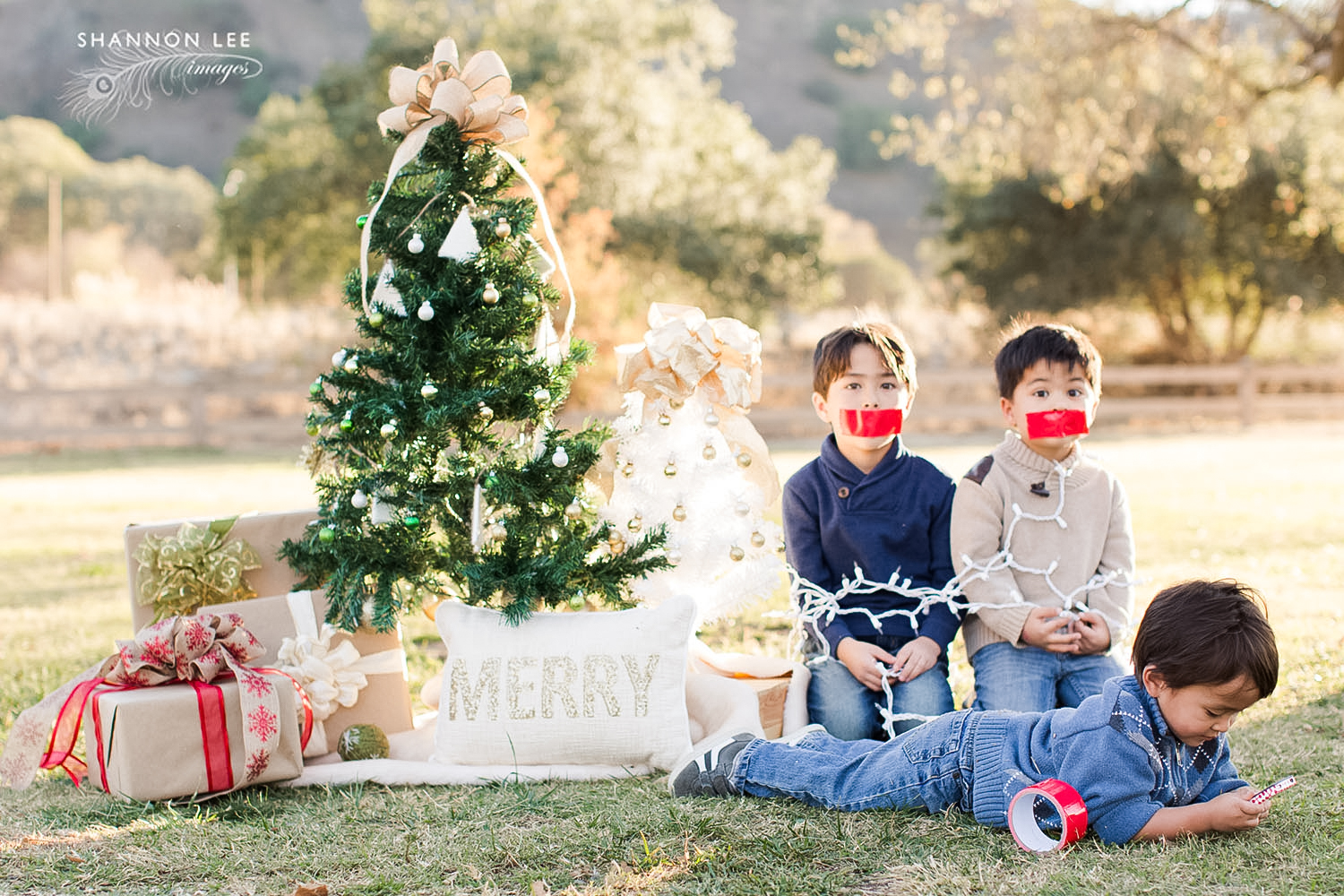 best-of-portraits-2015-169