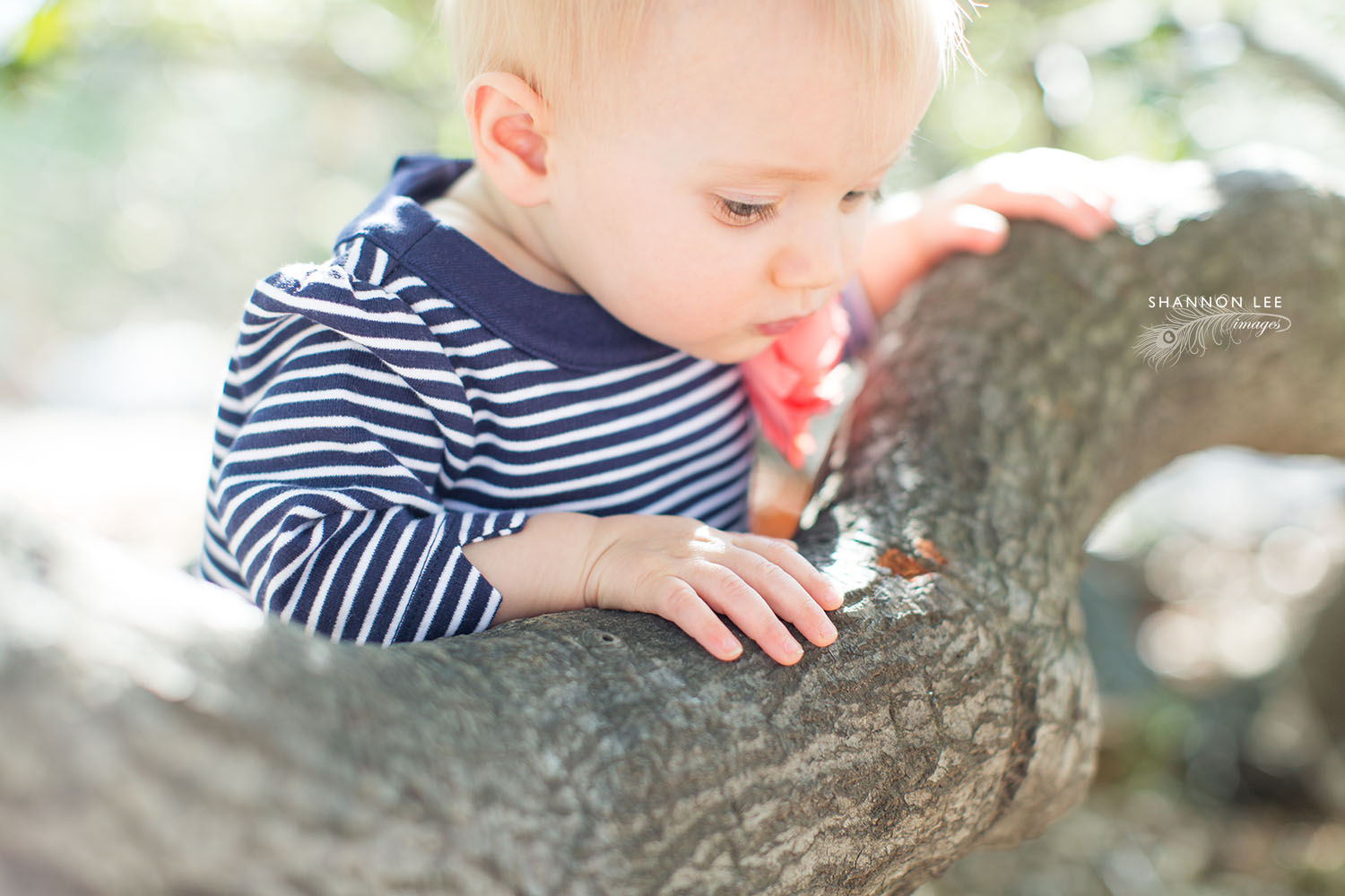 pasadena-family-photography-113