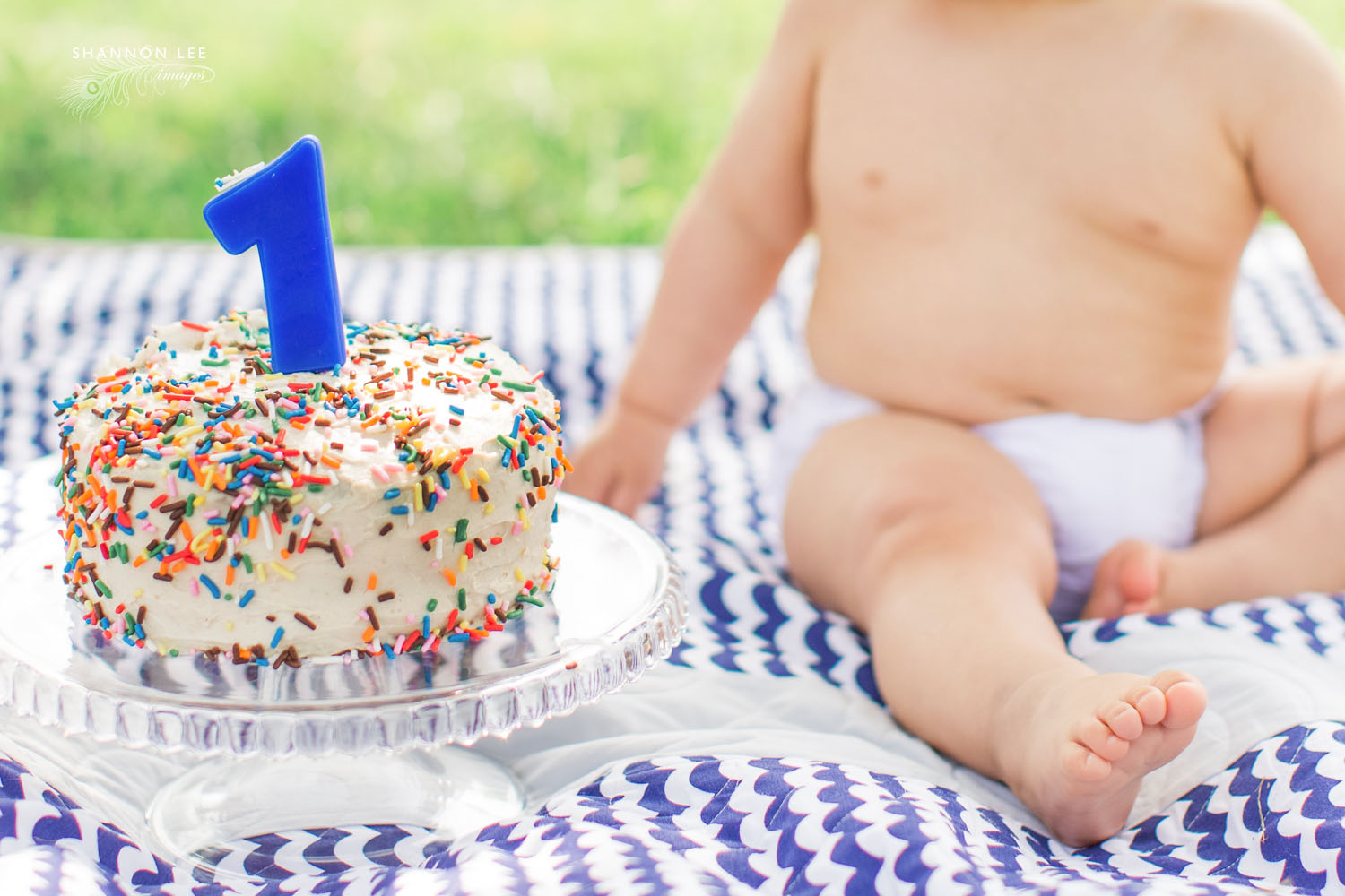 one-year-old-cake-smash-116