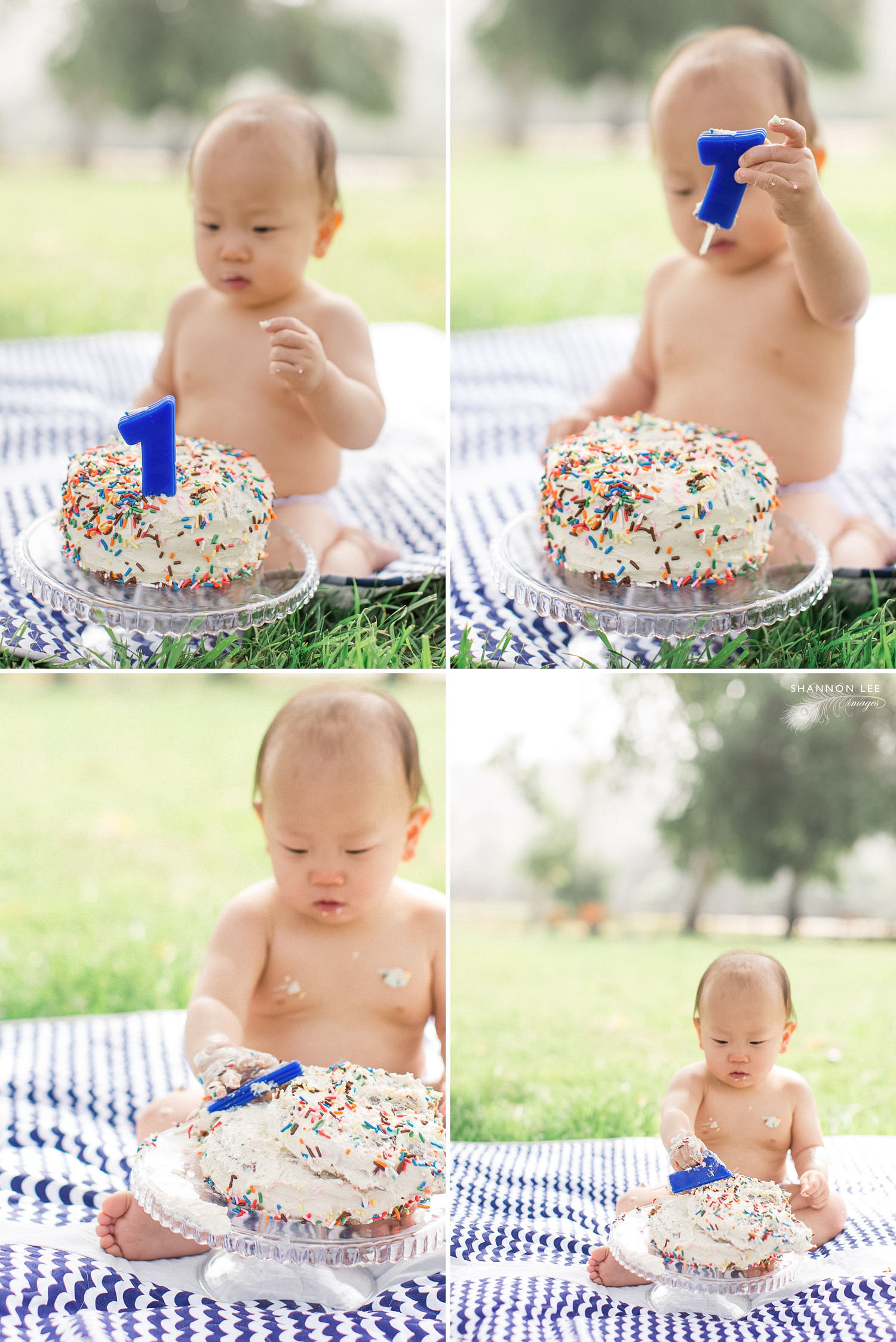 one-year-old-cake-smash-117