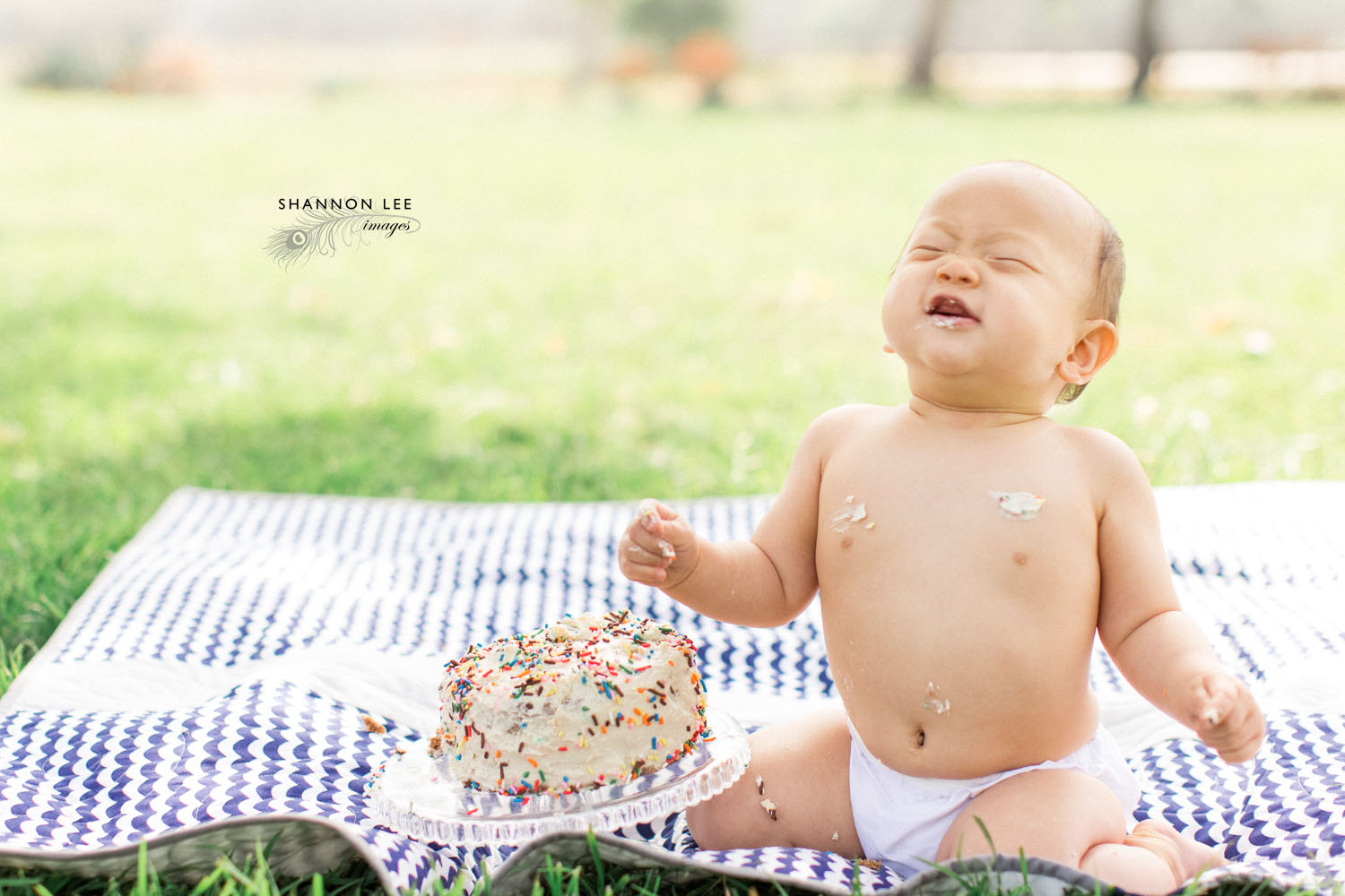 one-year-old-cake-smash-118