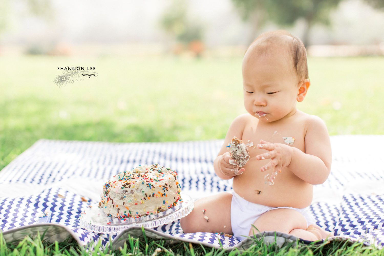 one-year-old-cake-smash-120
