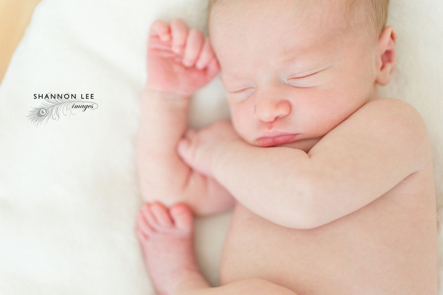 los-angeles-newborn-photographer005