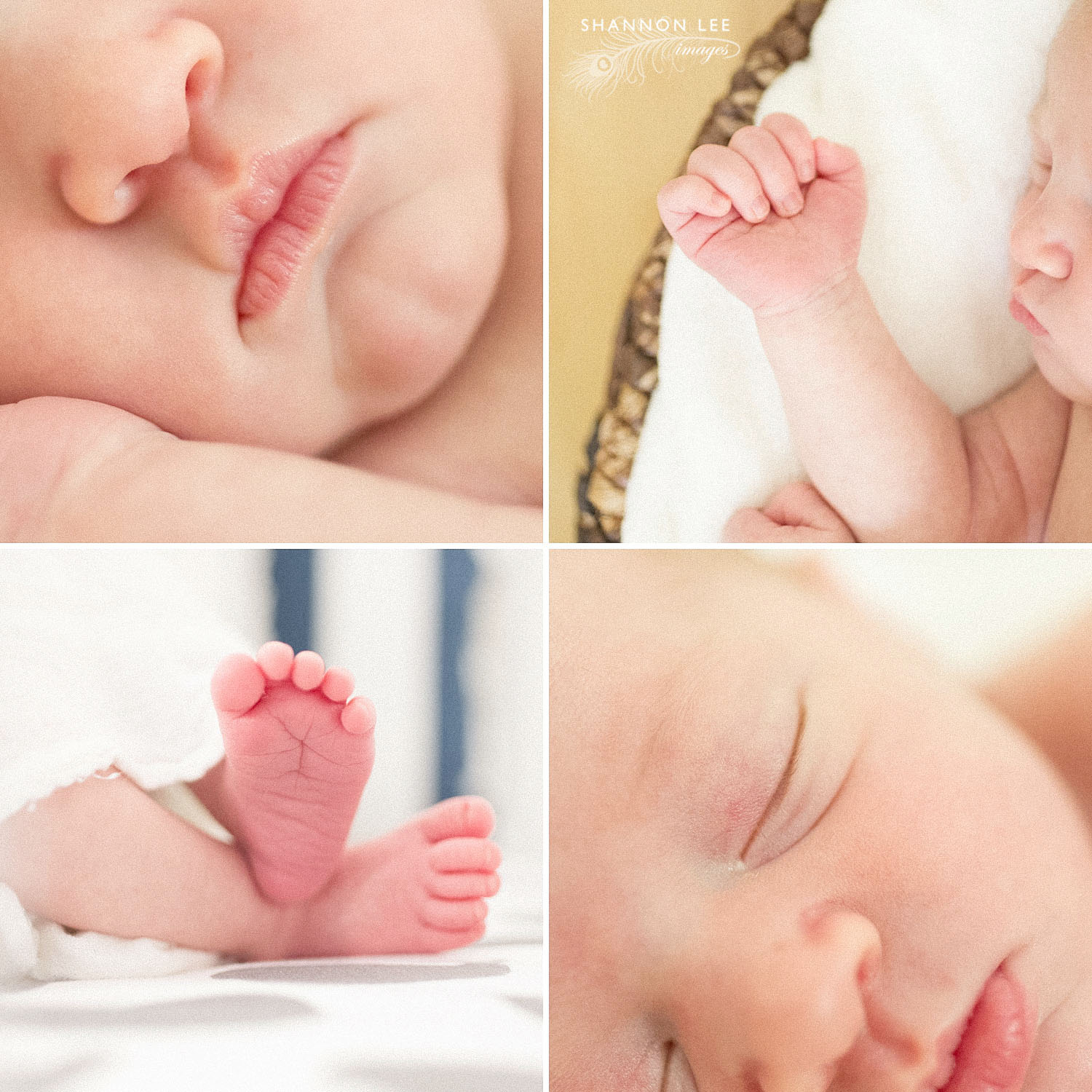 los-angeles-newborn-photographer006c