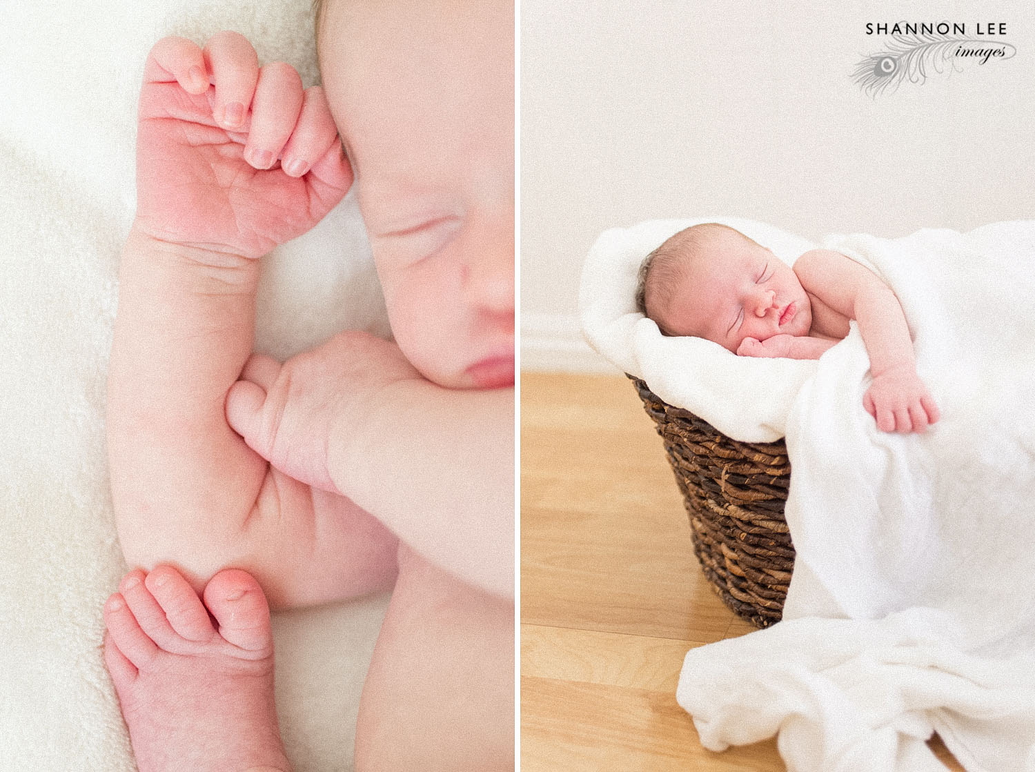 los-angeles-newborn-photographer010