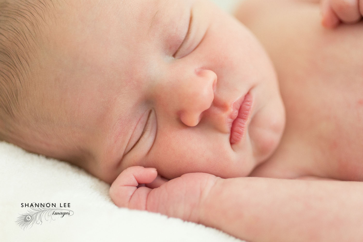los-angeles-newborn-photographer011